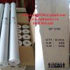 Lõi lọc than hoạt tính Maxtec 20inch lọc thực phẩm